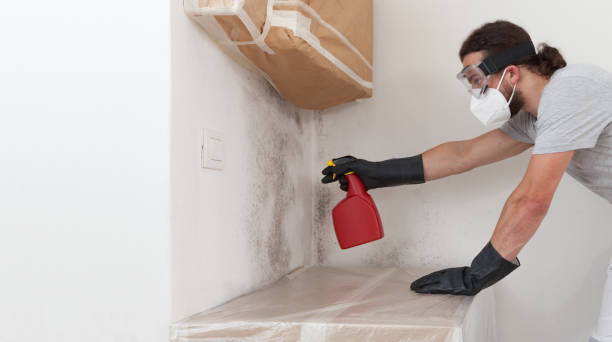 Professional Commercial Mold Remediation technician working in Belterra, TX